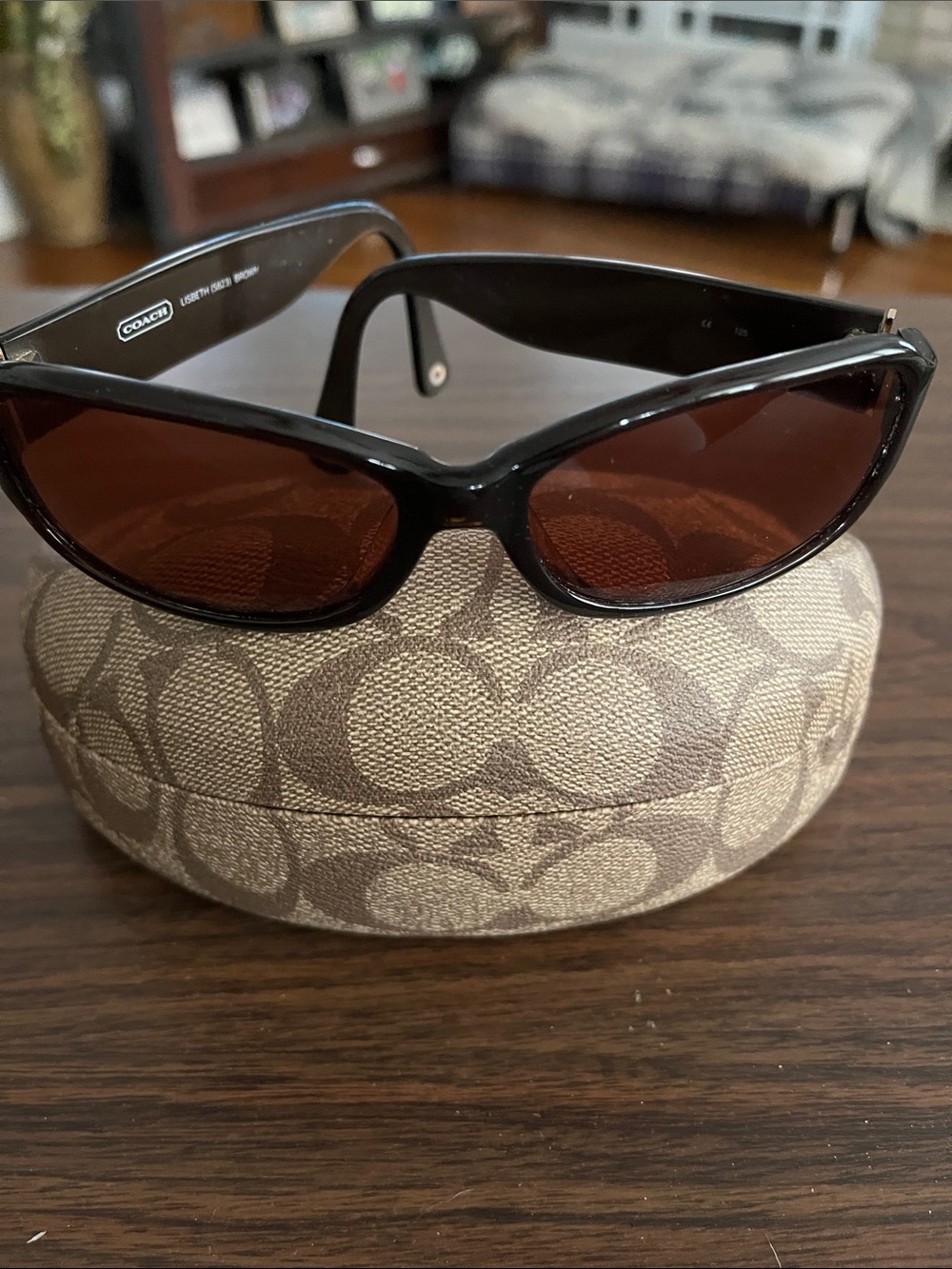 Coach Brown Frame Brown Lens Women's Cat-Eye Sunglasses
